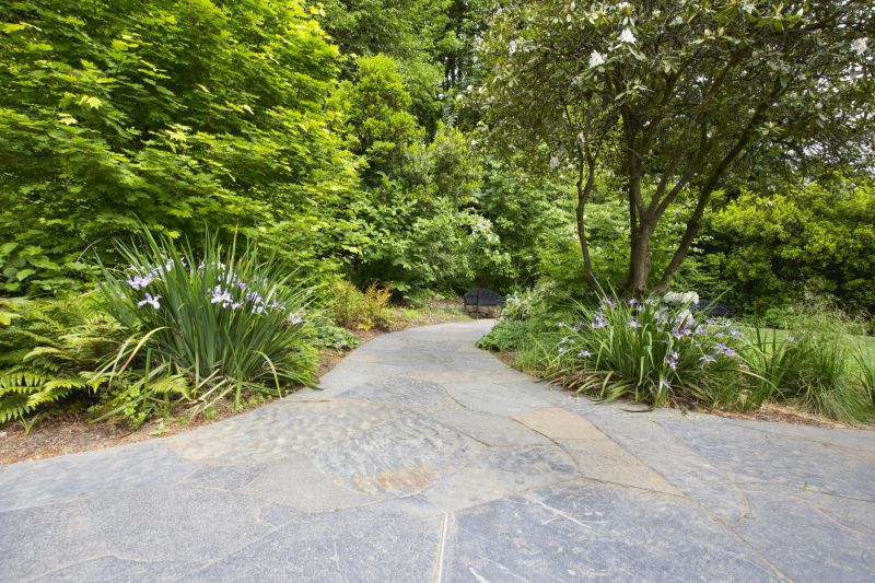 Landscaped Walkway